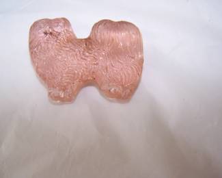 glass ? dog