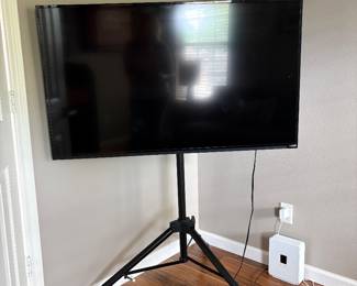 42 In Vizio Tv
