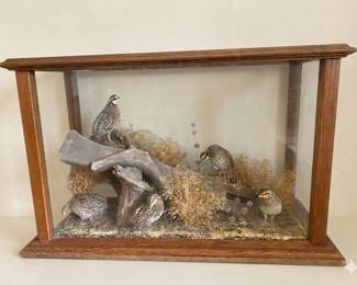 Beautiful quail taxidermy glass and wood table.   Approx. 40" w x 17" d x 26" h
