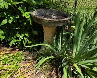 Bird bath