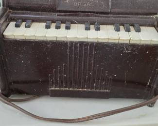 Magnus organ 