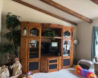 Entertainment Center