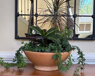 Indoor Terracotta Container Plant Garden