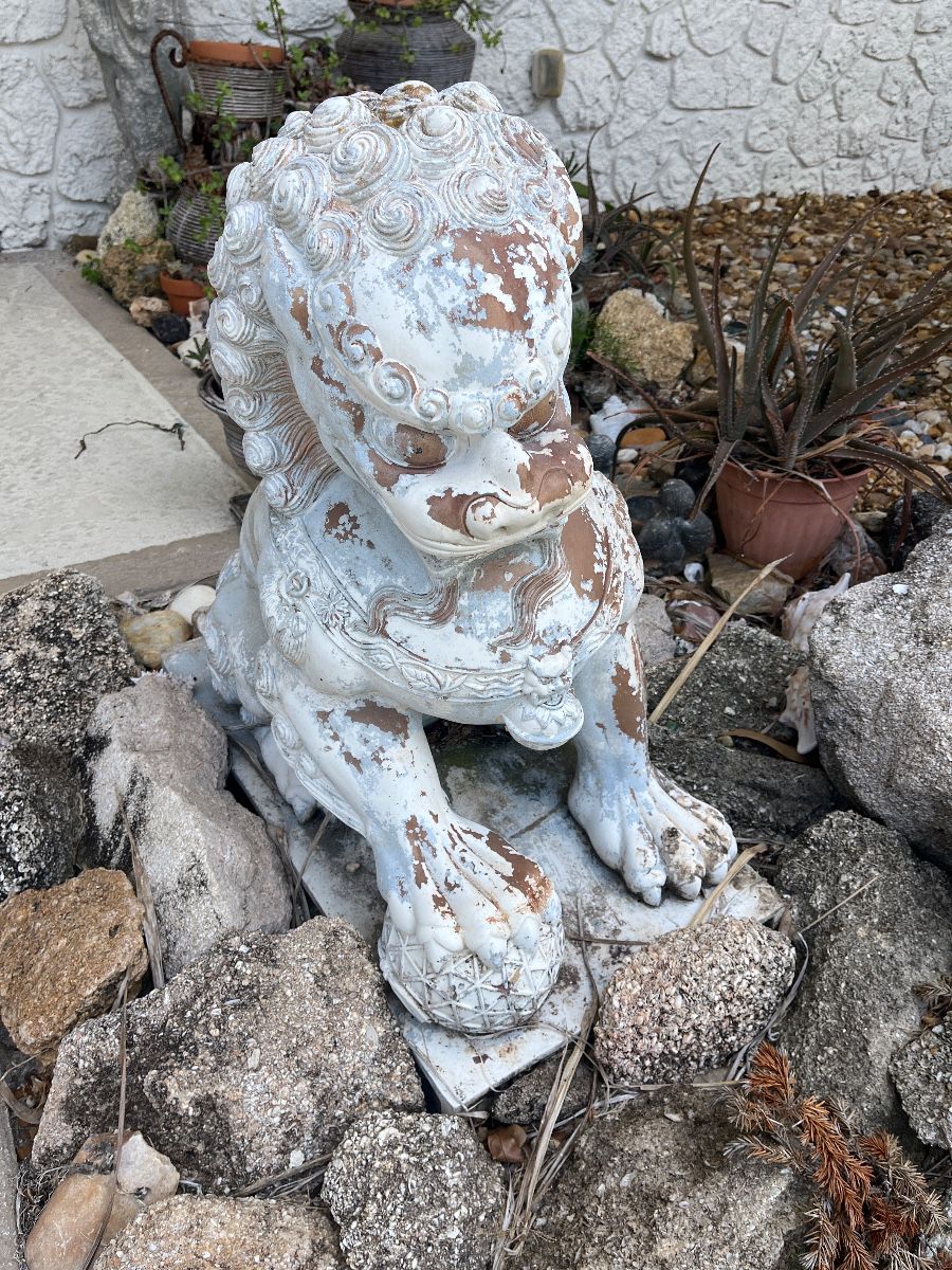 Foo Dog