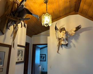 Multiple waterfowl taxidermy