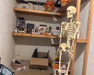 Collection of Halloween Decorations 