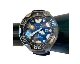 Citizen Eco-Drive Titanium Diver's 200M watch