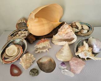 Shells