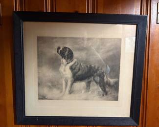 antique engraving of a St Bernard dog