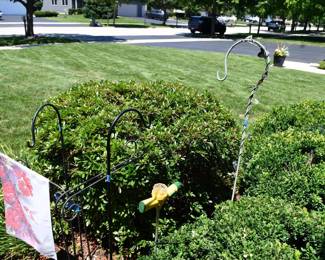 874Front Yard