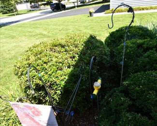 881Front Yard
