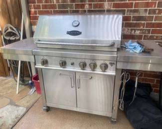 Professional Series Outdoor Gas Grill