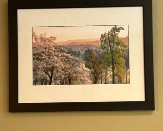 Framed Mountain Landscape Photograph