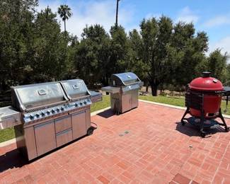 Napoleon Prestige BBQ ~ Kamado Joe Grill/Smoker