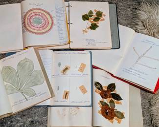 Botany school notebooks