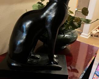 black cat