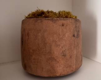 Moss in Wood Planter.