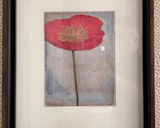 Abstract Poppy. 