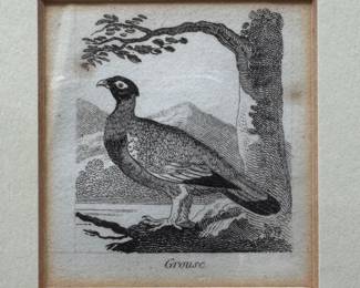 Natural History of 48 Birds Engravings by Alfred Mills: Grouse & Quail. Each Measures 10.5" x 12" Overall. Photo 3 of 5.