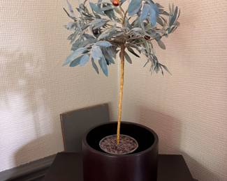 Faux Mini Olive Tree. 