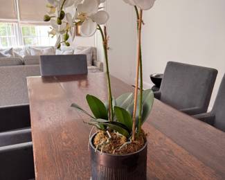 Faux Orchid. 
