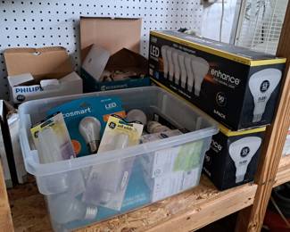 VARIETY OF LIGHT BULBS