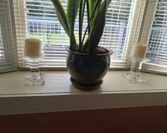 Snake Plant ; crystal candle holders