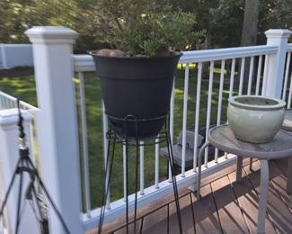 Lots of plants and planters