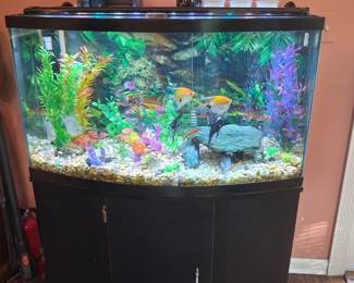 46 gallon Bow Fish Tank with 13 Tropical Fish and all accessories