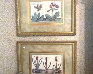 more botanical prints