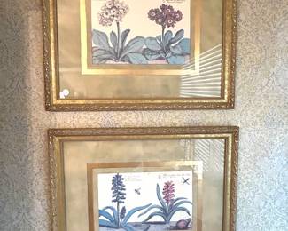 Botanical prints 