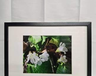 framed photo2