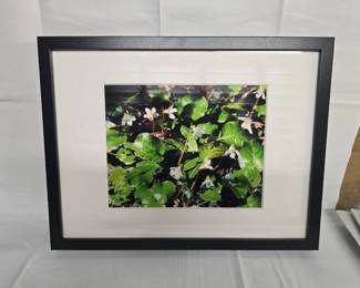 Framed photo