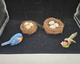 birds and egg