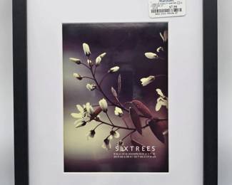 picture frame2