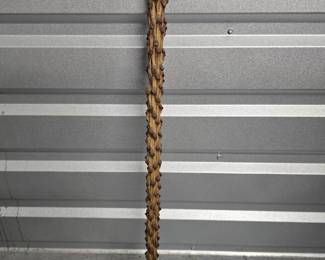 walking stick
