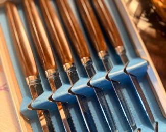 Vintage steak knife set with bakelite handles