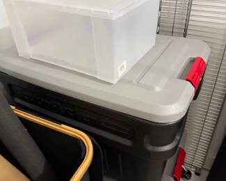 Storage bins and rolling cooler