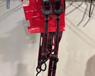 Hanging straps and garage hooks