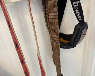 Ski poles and ski goggles