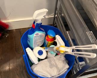 Cleaning supplies and household bin