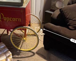 EINSTEIN MOOMJY RUG. POPCORN MACHINE. SPORTING ITEMS AE NOT FOR SALE.