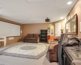 DEN FURNITURE & EINSTEIN MOOMJY RUG, + POPCORN MACHINE. SCREEN & PROJECTOR NOT FOR SALE