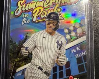 Aaron Judge Summertime Park