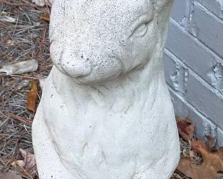 Rabbit