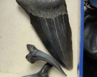 Tooth