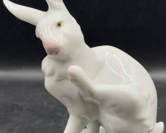 Rabbit
