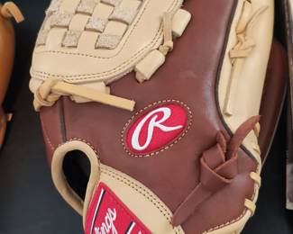 Rawlings Gold Glove