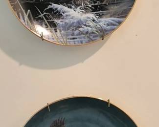 Bird Plates