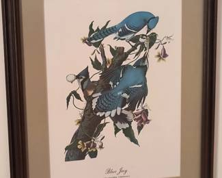 Art Birds